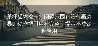 茶杯狐体检卡：问题范围有没有画边界，动作把引用补完整，提示不费劲但管用