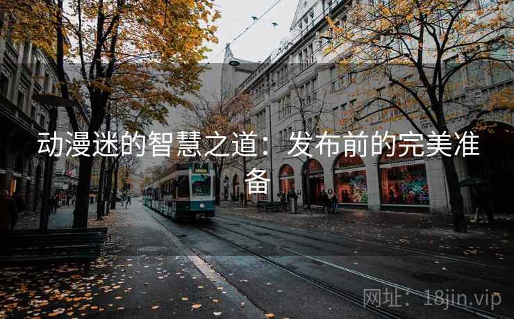 动漫迷的智慧之道：发布前的完美准备
