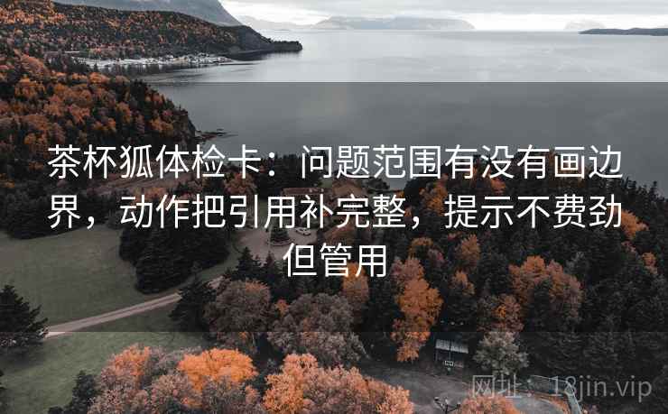 茶杯狐体检卡：问题范围有没有画边界，动作把引用补完整，提示不费劲但管用