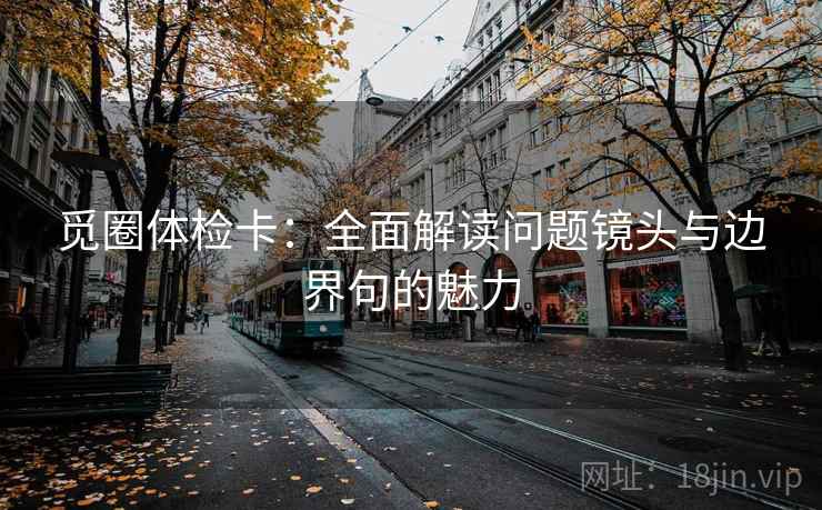 觅圈体检卡:全面解读问题镜头与边界句的魅力 觅圈体检卡:全面解读问题镜头与边界句的魅力